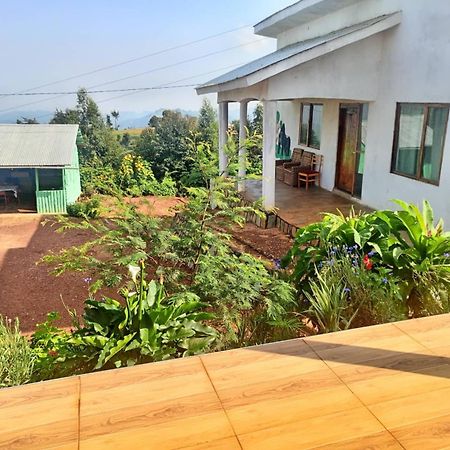 Ruhija Gorilla Guest House Kabale Экстерьер фото